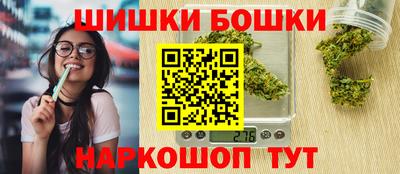 тгк Бийск