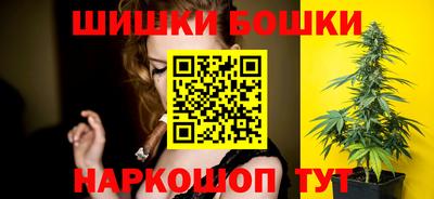 тгк Бийск