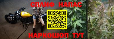 apvp Беслан