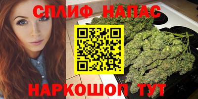 apvp Беслан