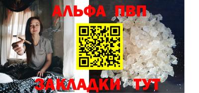 тгк Бийск