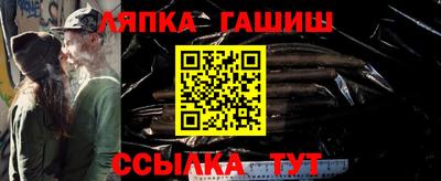 тгк Бийск