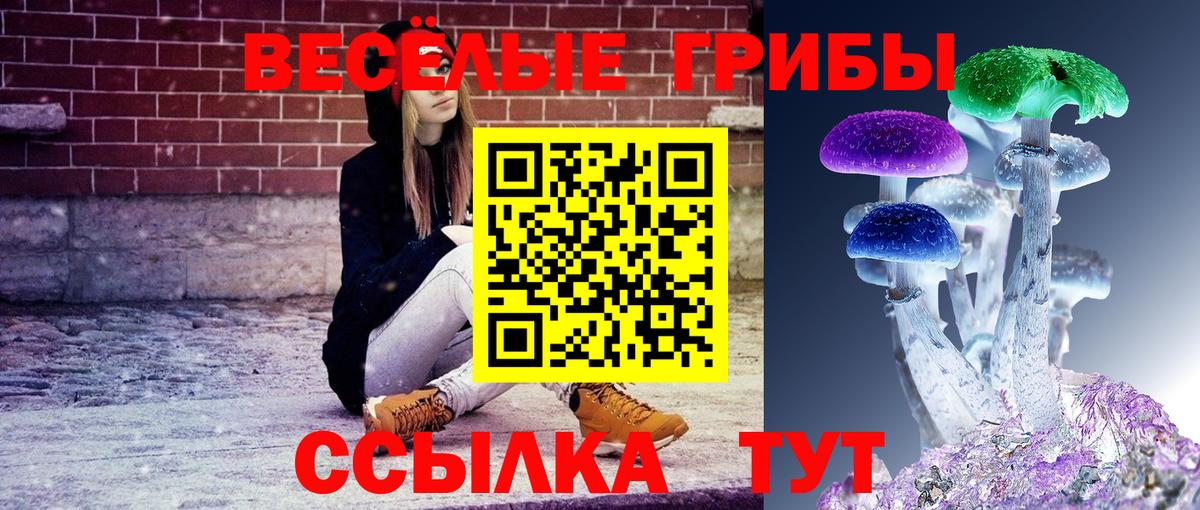 Кимры  Псилоцибиновые грибы Cubensis  Вход с VPN  Галлюциногенные грибы ЛСД 