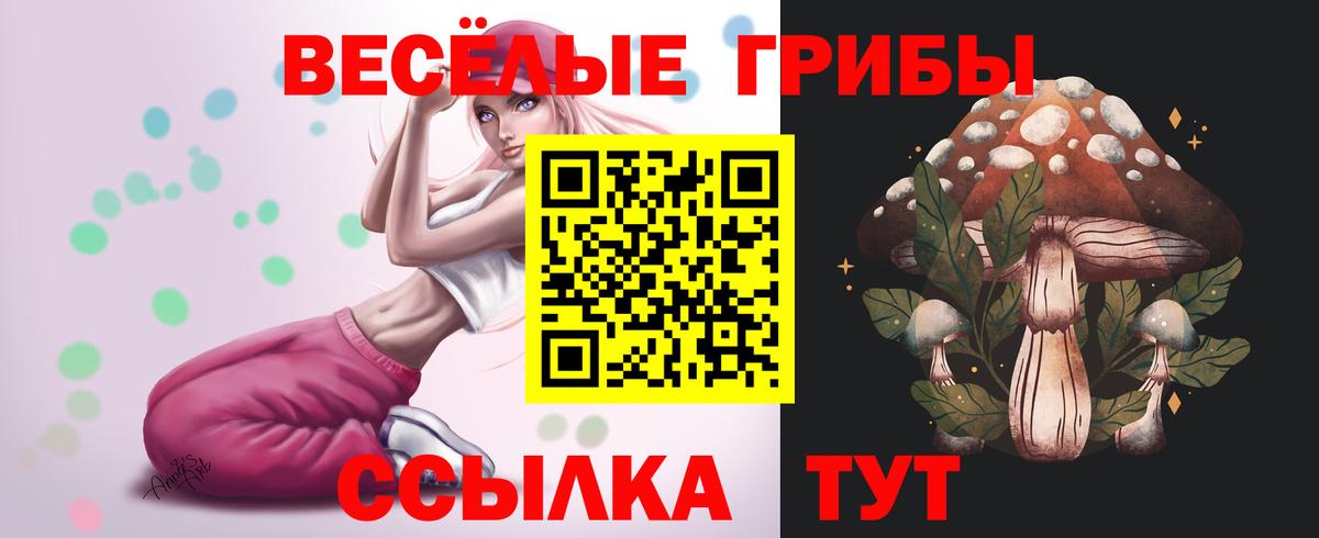 Галлюциногенные грибы мухоморы Кимры